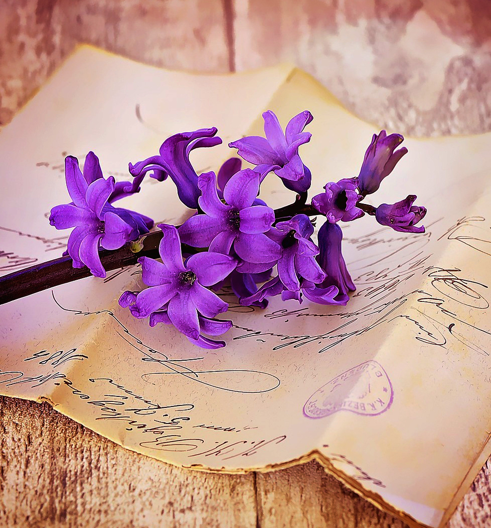 Okos és bátor magyar nők, akiknek érdemes megjegyezni a nevét