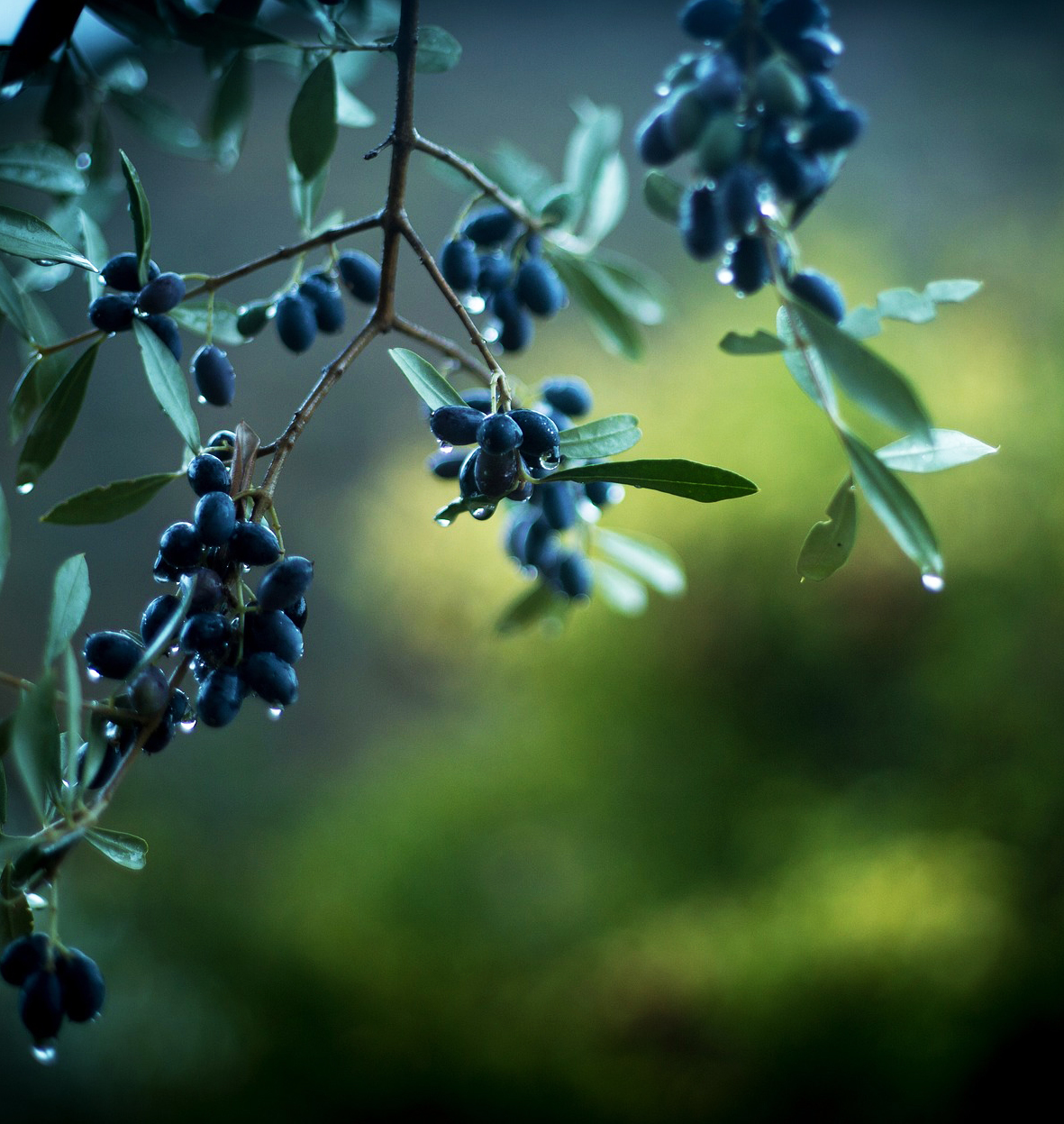 Lármafát kell gyújtanunk a vízért, de lassan nem lesz víz, amivel elolthatnánk