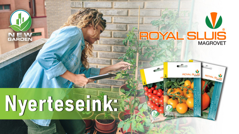 Gratulálunk nyerteseinknek!