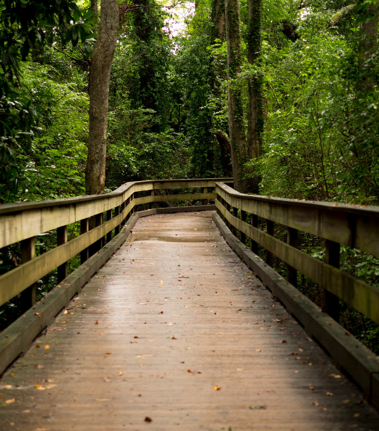 Kedvenc tanösvényeink az áprilisi kirándulásokhoz