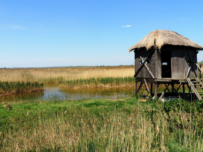 Várról-várra madárdallal – vár a Dinnyési-fertő