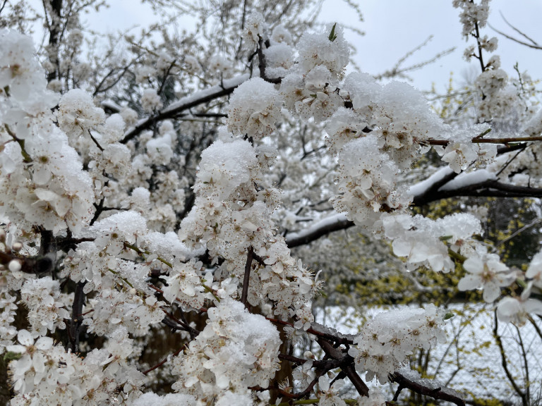Elengedés és megbocsátás