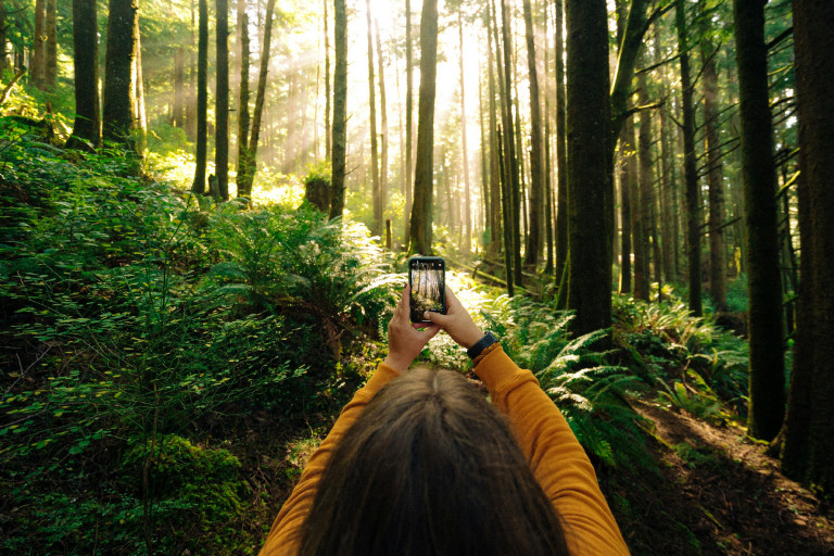 Deinfluencing, újrahasznosítás és slow living – TikTok-trendekkel a fenntarthatóságért