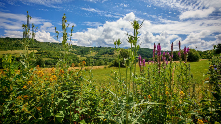 Emlékkönyvem lapjai hajdani Szent István búcsúk képeivel