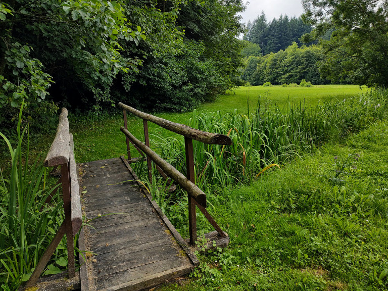 Zala gyöngyszeme: a budafapusztai arborétum 