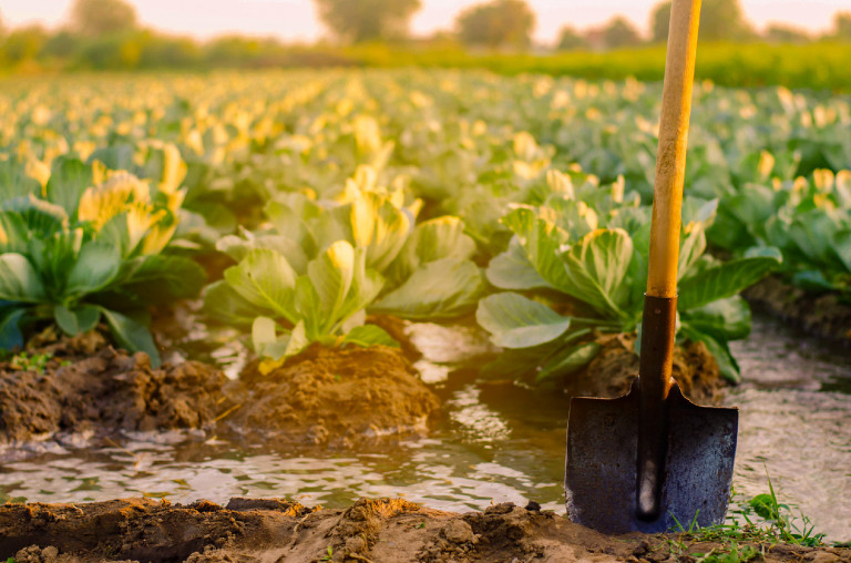 Körforgásos gazdaság: álom vagy megoldás?