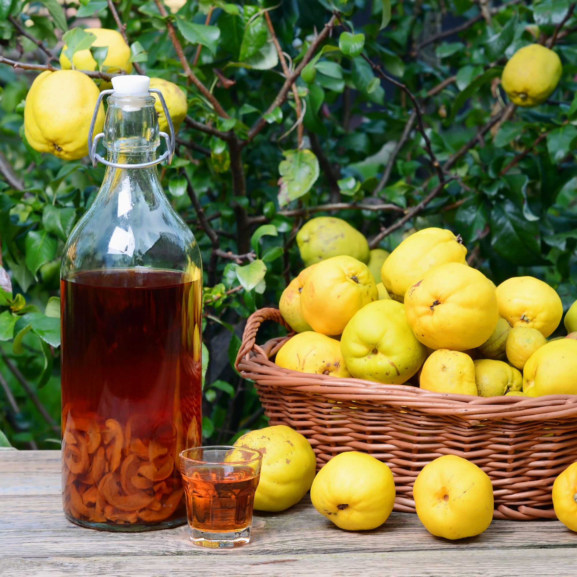 Tincture of quince and fruit in wicker basket on a wooden table.