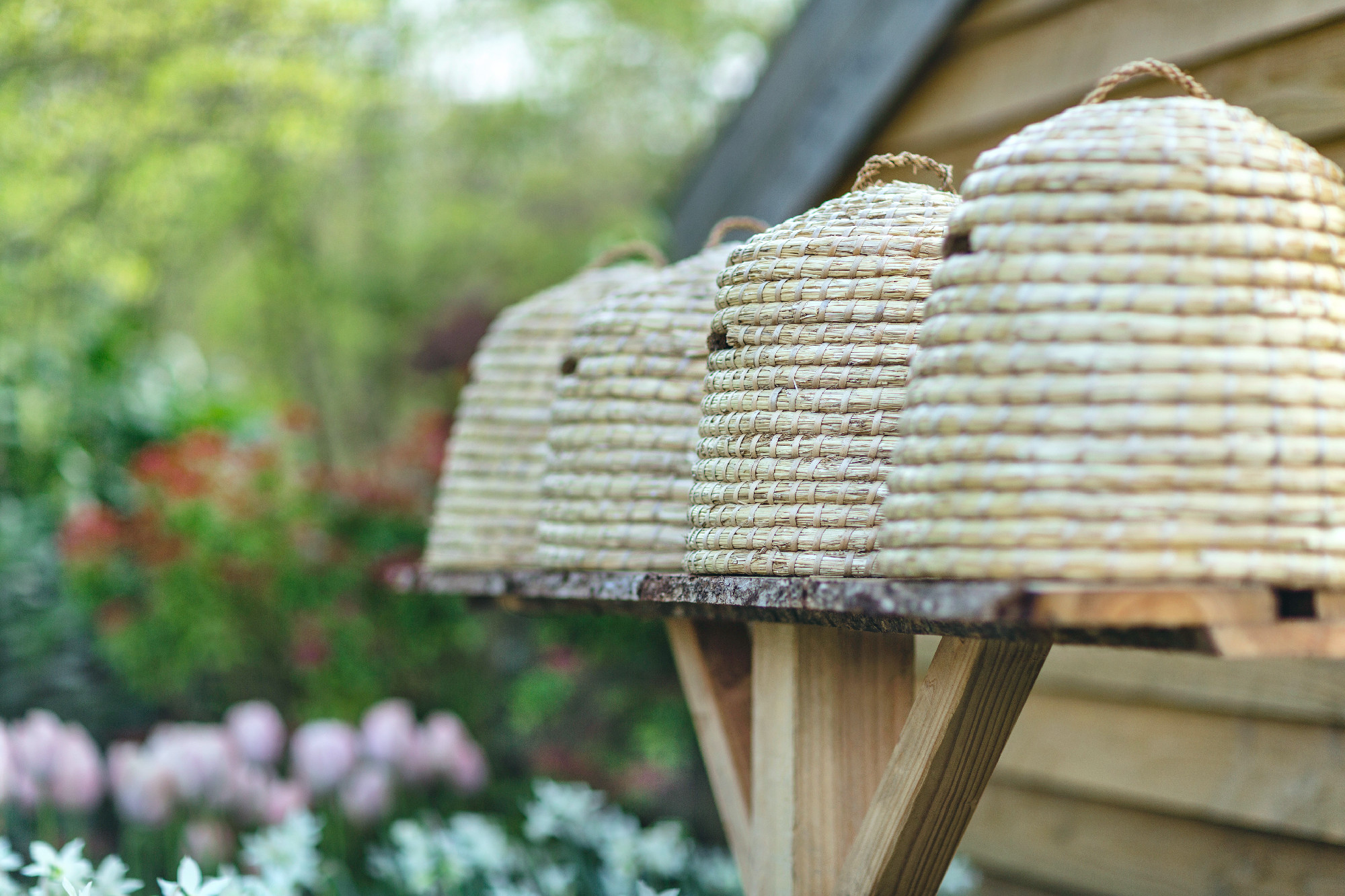 Beehives in a garden with flowers in the background