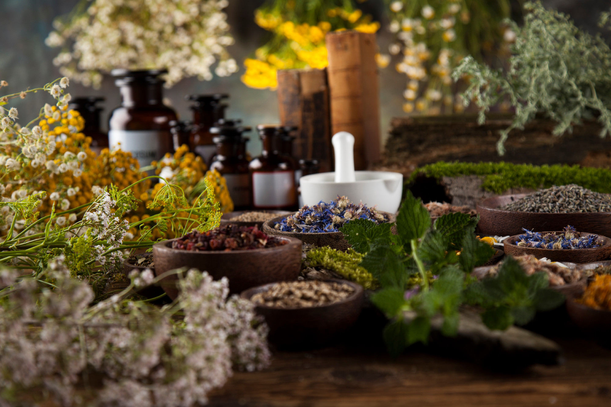 Herbs, berries and flowers with mortar, on wooden table backgrou