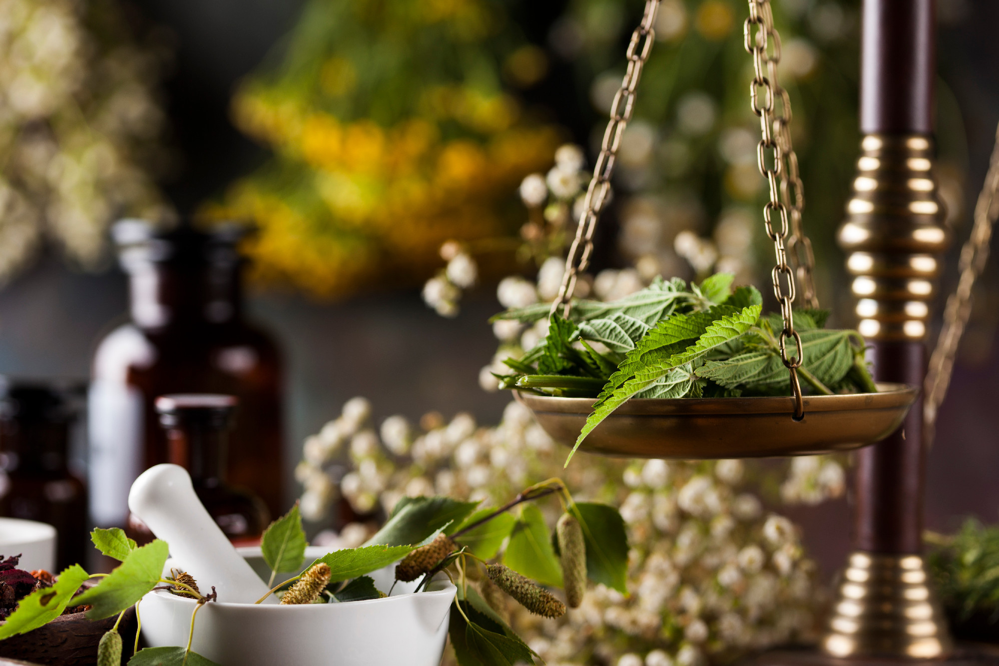 Fresh medicinal, healing herbs on wooden