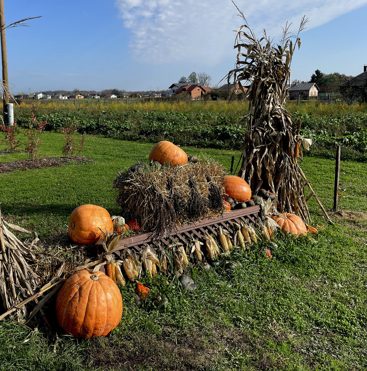 Gazdaság összhangban a természettel