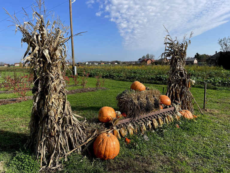 Gazdaság összhangban a természettel 