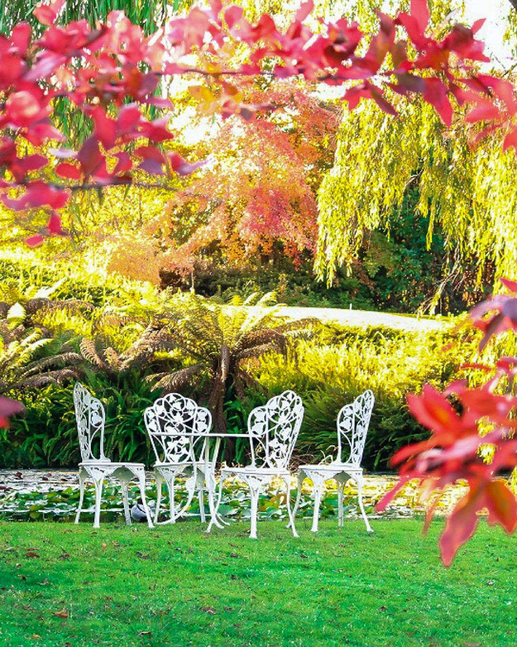 5 tévhit az őszi kertről: a giliszta, a fagy, a tuja, a dió meg a békében hagyás esete