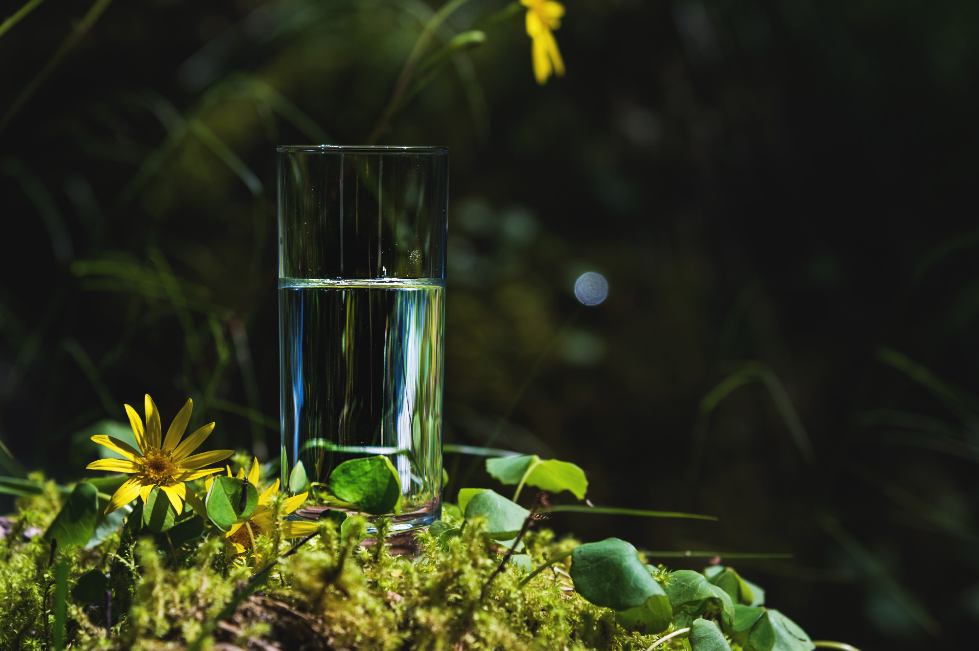 Clear water in a clear glass against a background of green moss with a mountain river in the background. Healthy food and environmentally friendly natural water