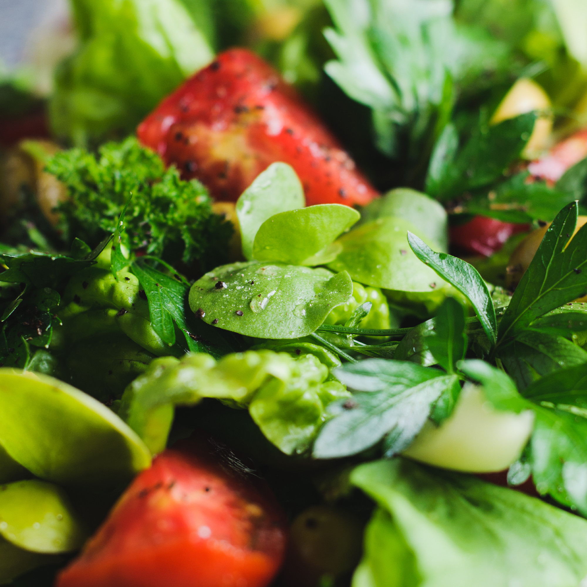 Fresh tomato salad. Diet or clean eating concept