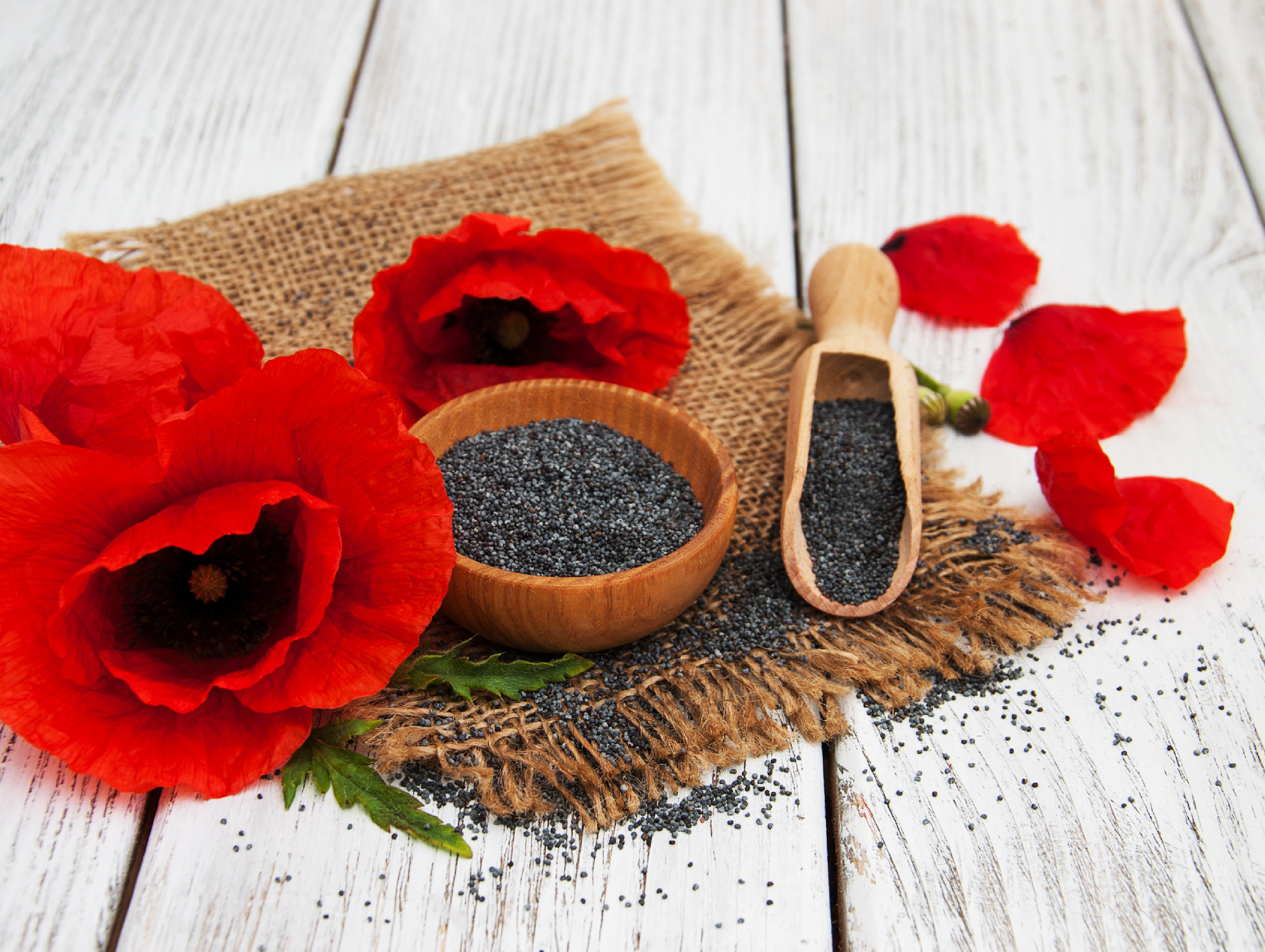 Poppy seeds and flowers