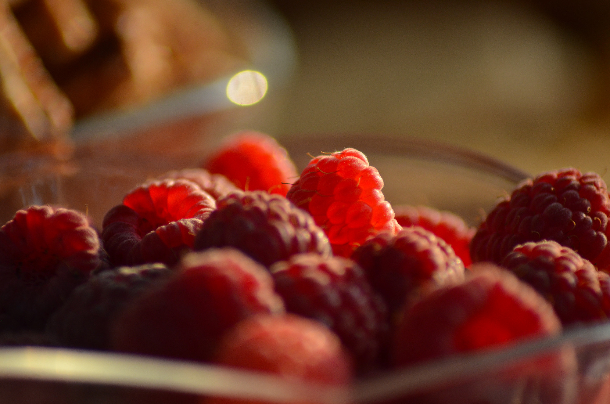 fresh raspberries in a transparent glass plate