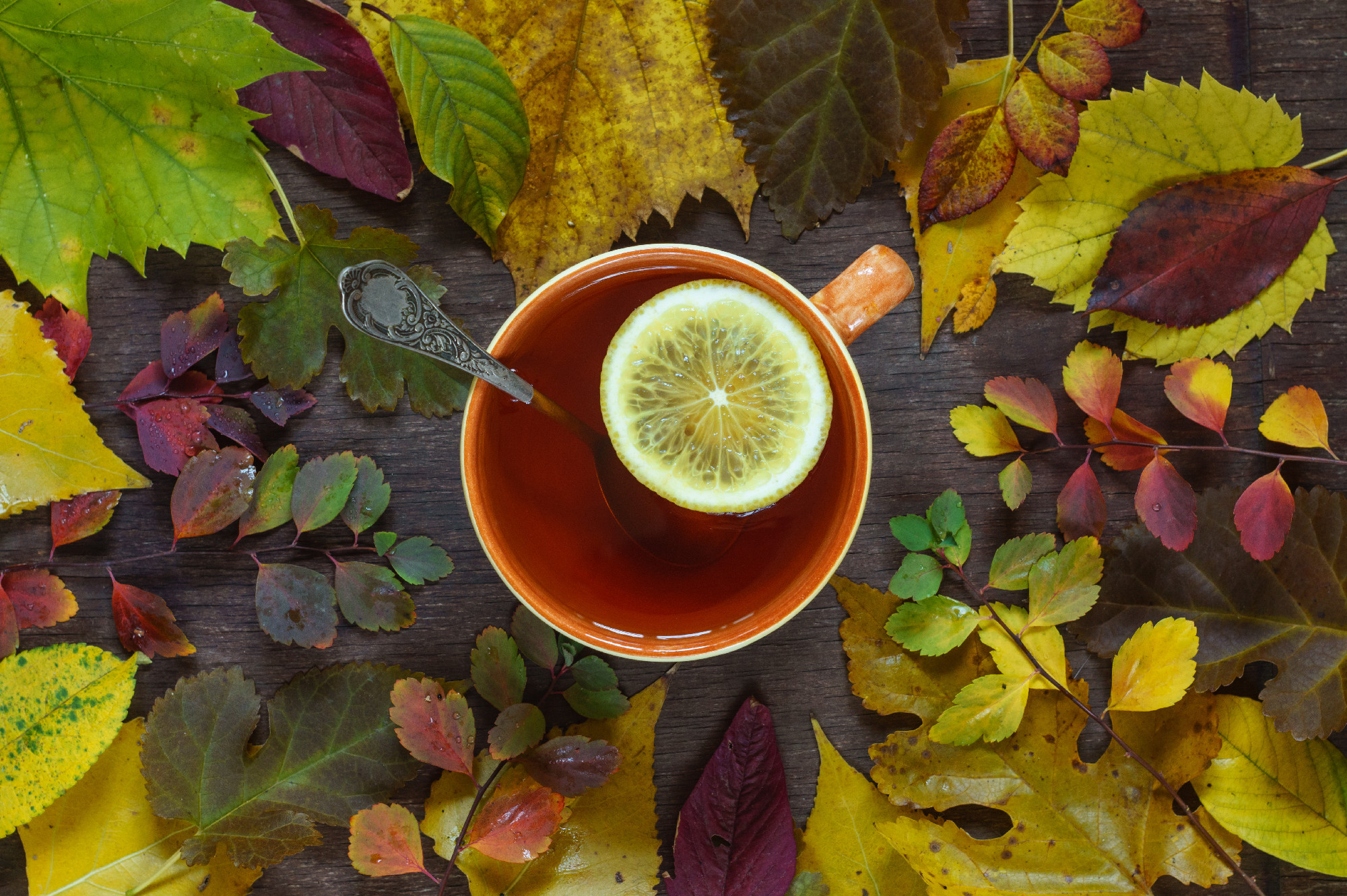 A cup of tea on a background of colorful autumn leaves on a wood
