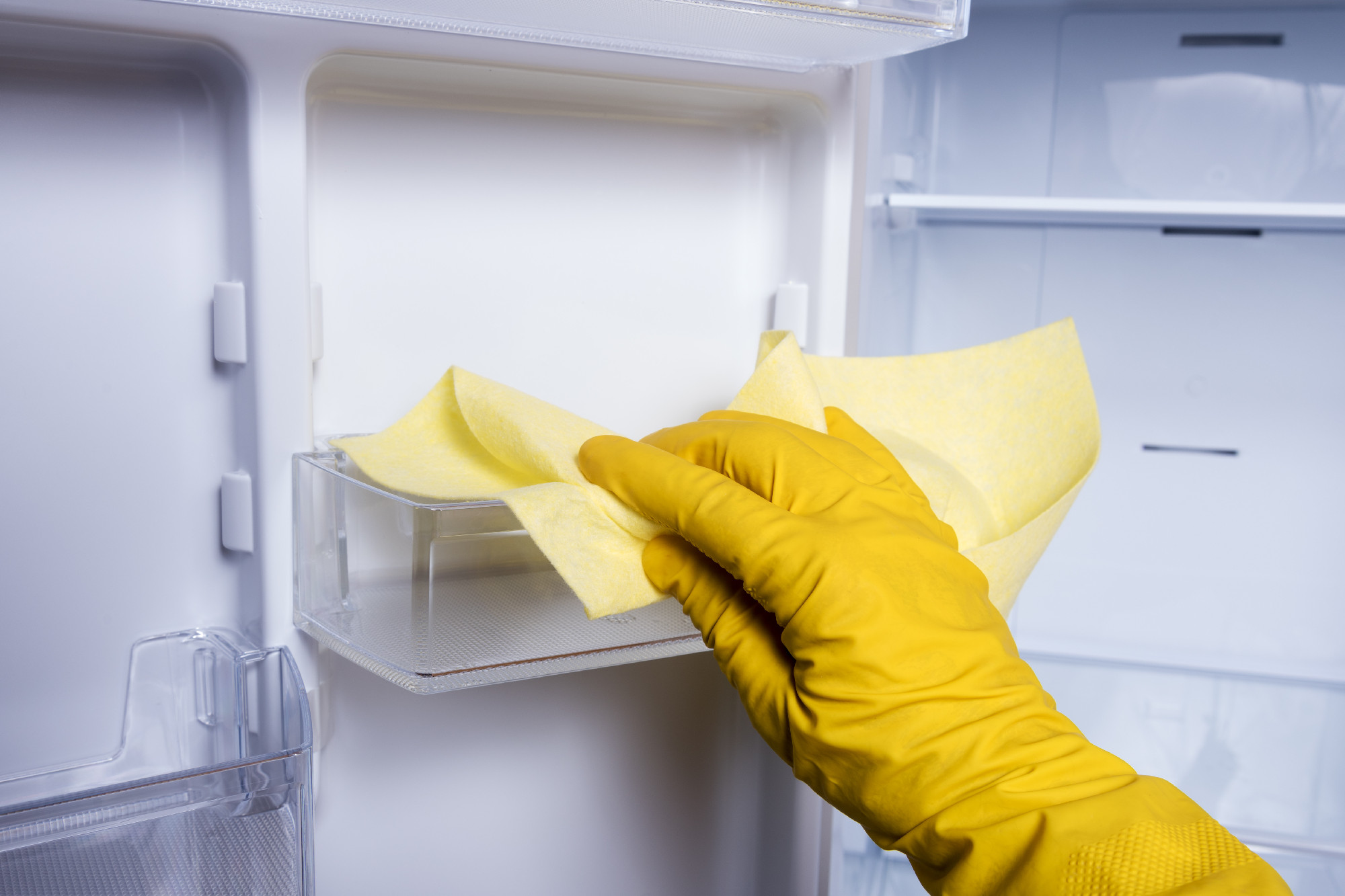 Hand cleaning refrigerator.
