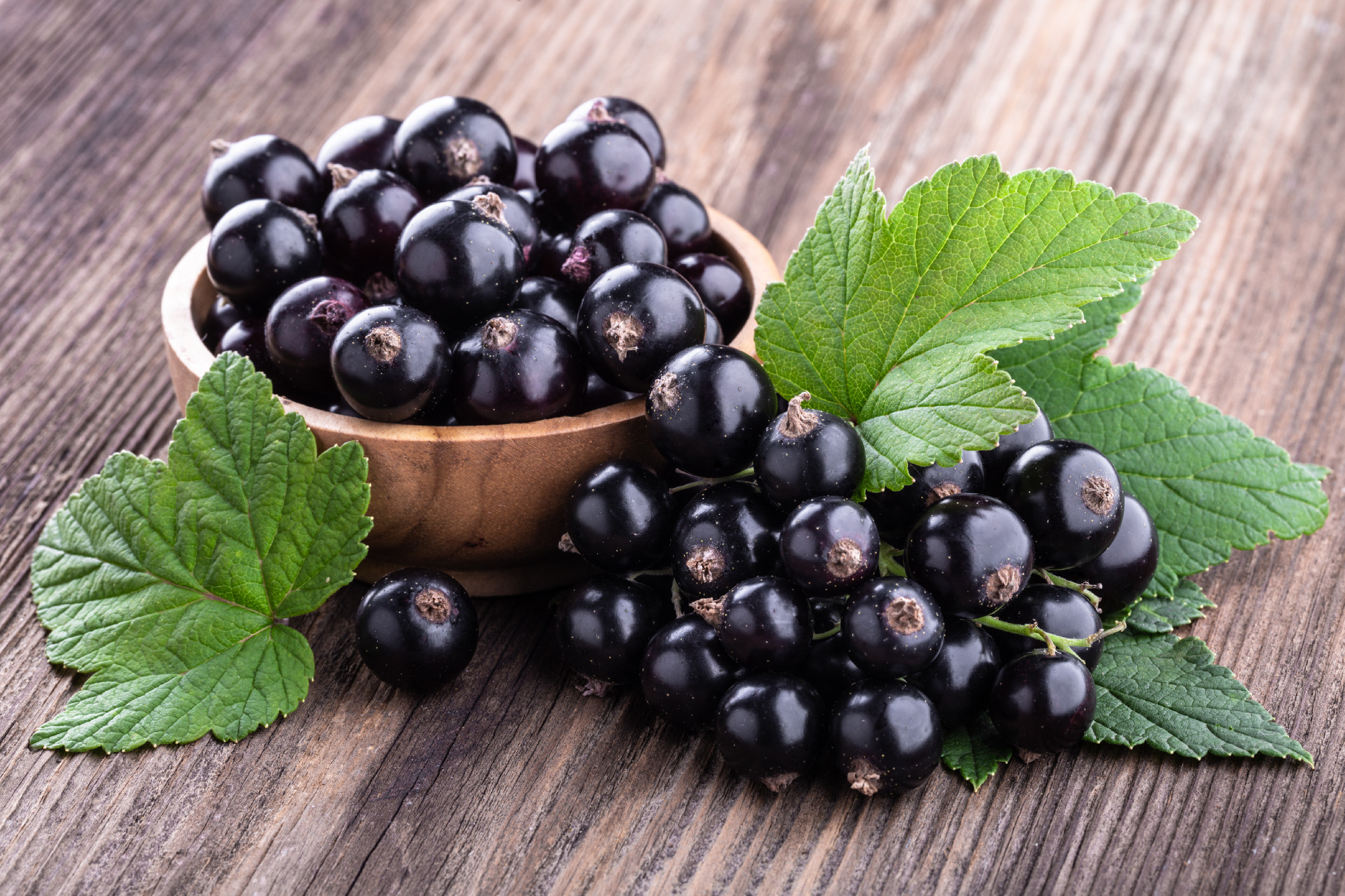 Fresh ripe black currant in wooden bowl with original leaves on