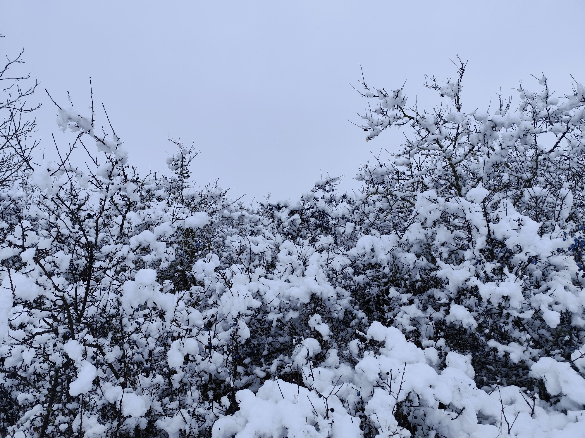 Így segíti a hó a Föld energiaegyensúlyát