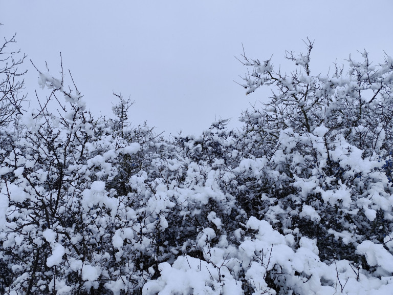 Így segíti a hó a Föld energiaegyensúlyát