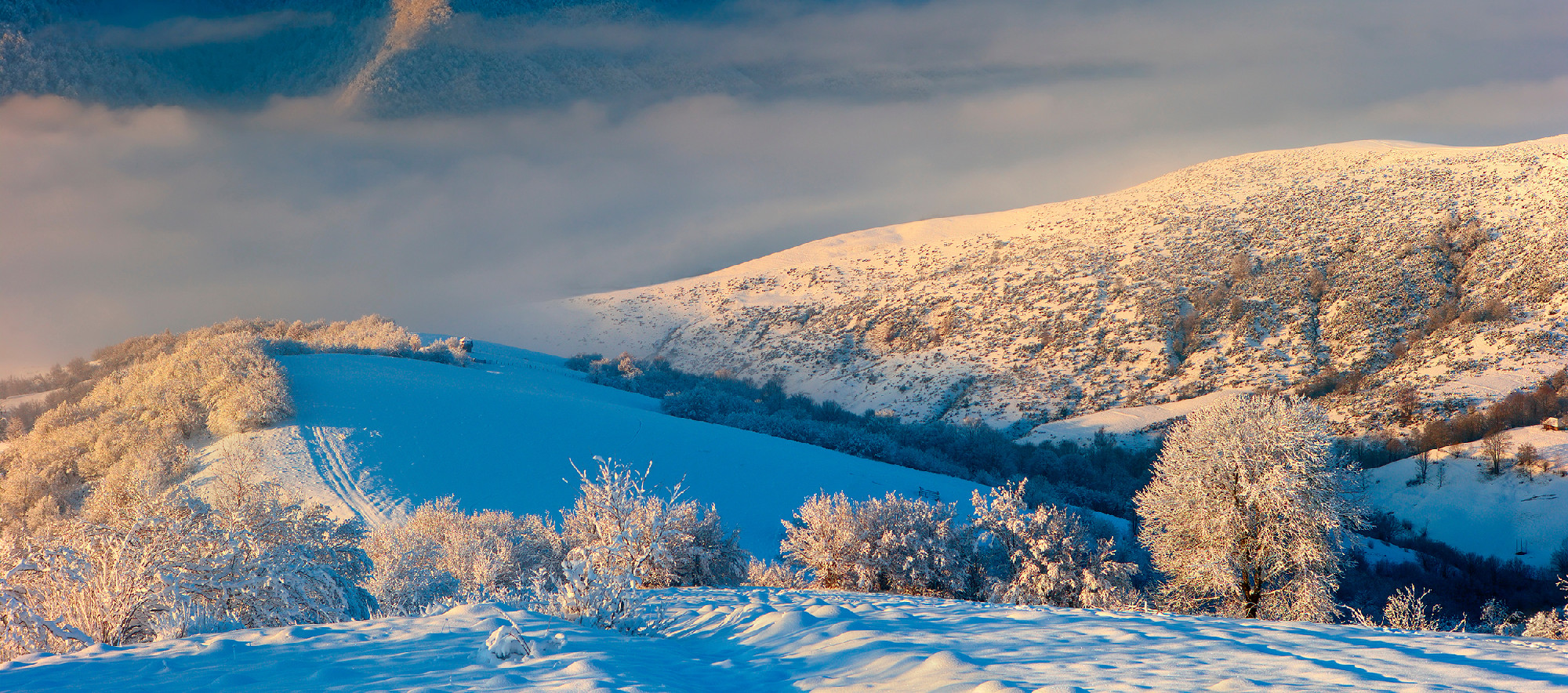 Winter Carpathian mountains