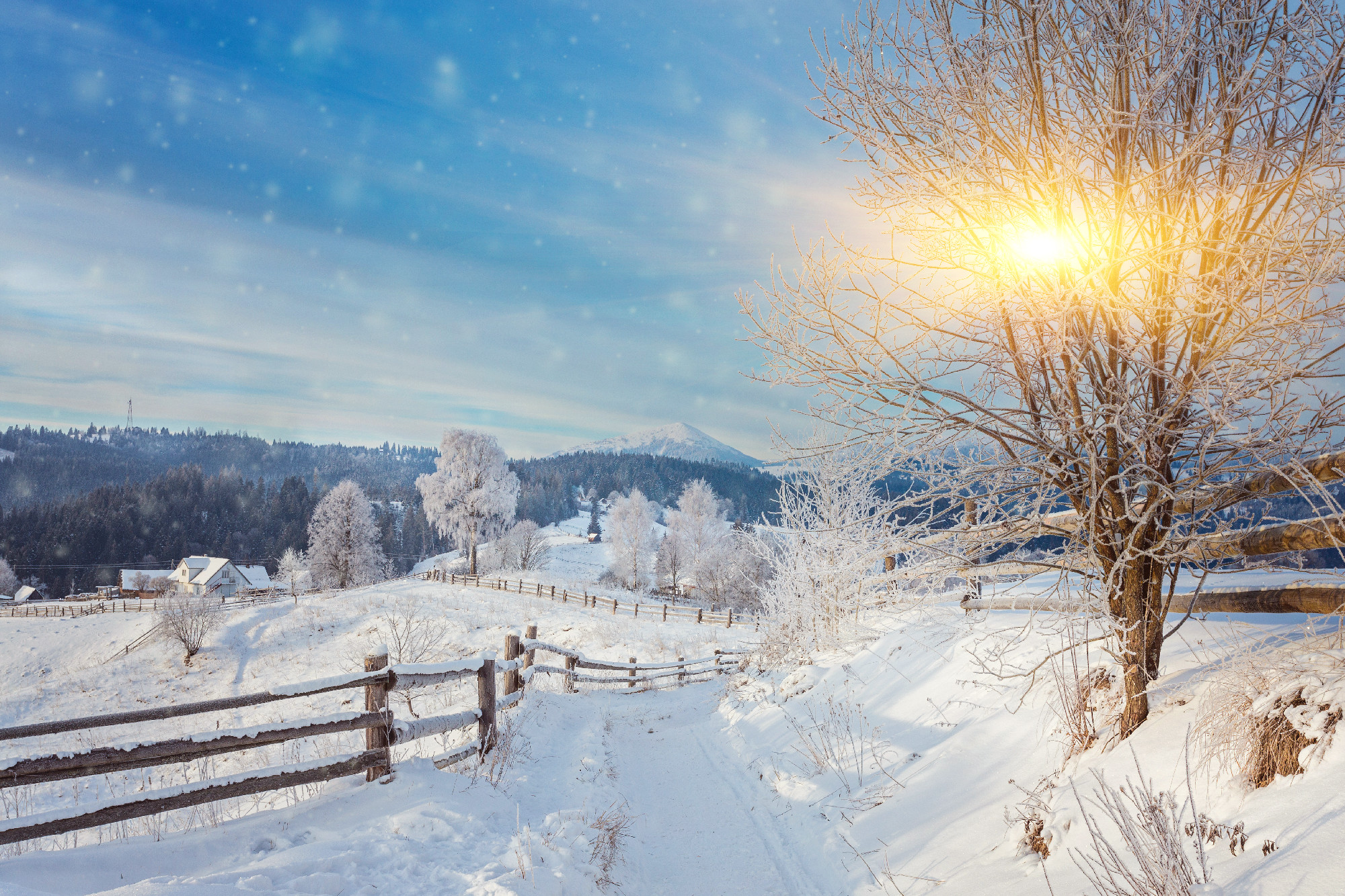 Beautiful winter landscape in the mountains.