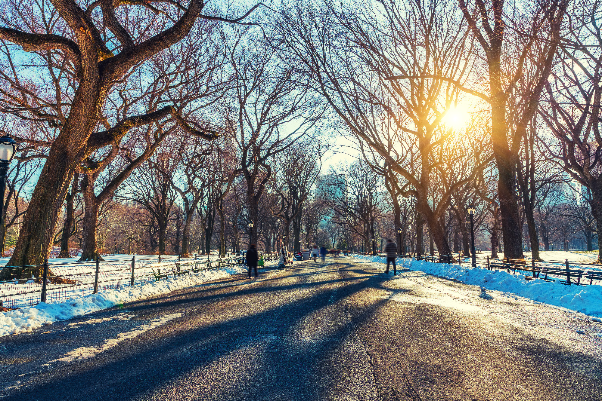 The mall in Central park at winter day