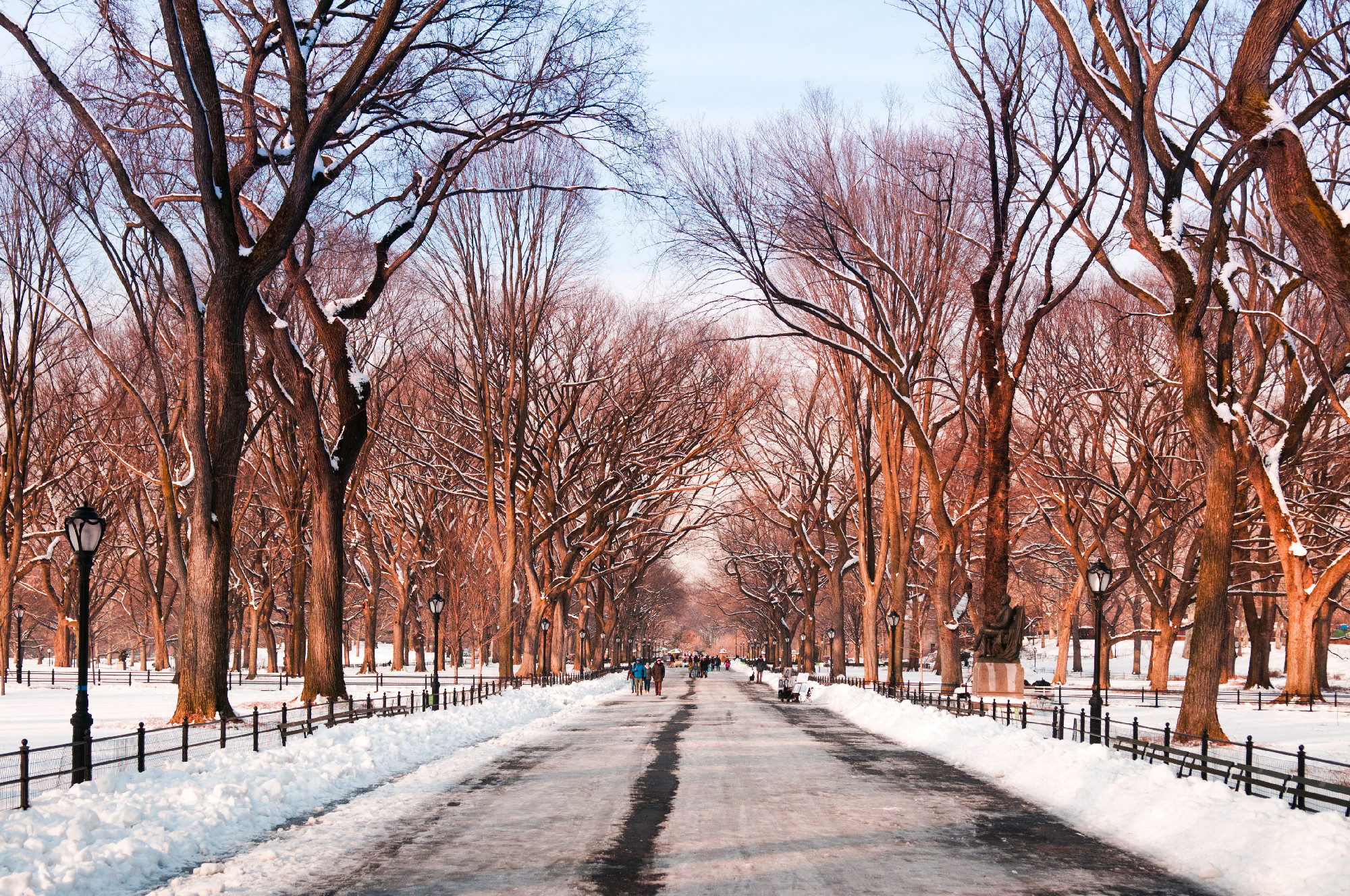 Central Park, New York, winter