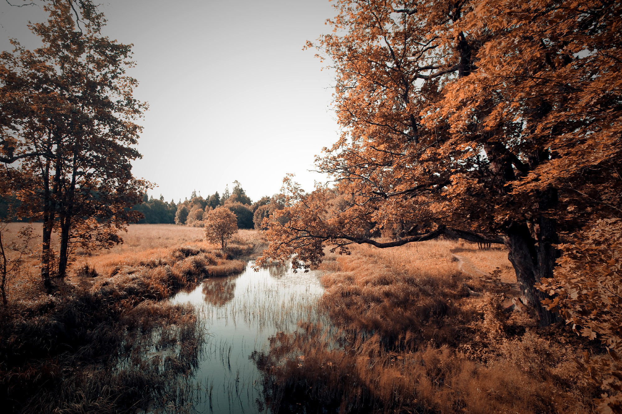 autumn landscape, near river