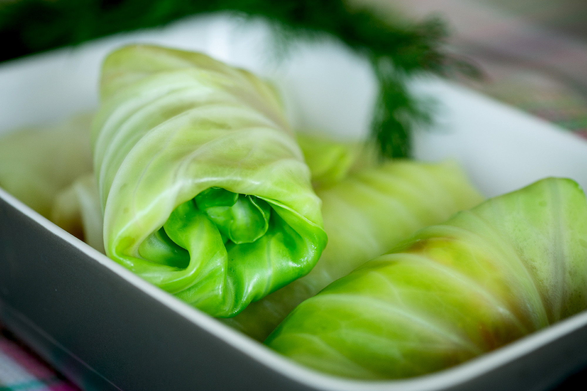 stuffed cabbage