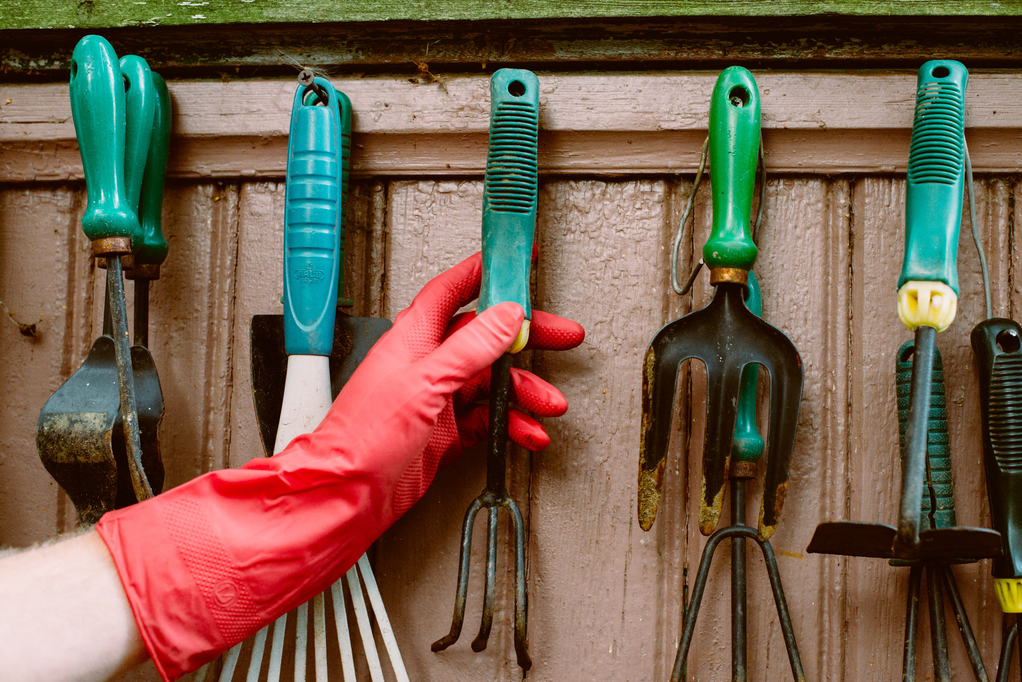 hand takes garden tools