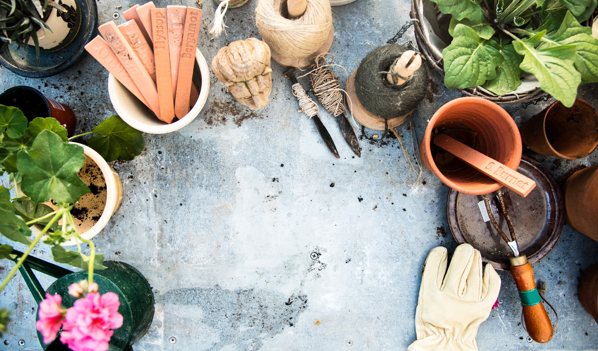 Cultivate Garden Nature Seasonal Growth Concept