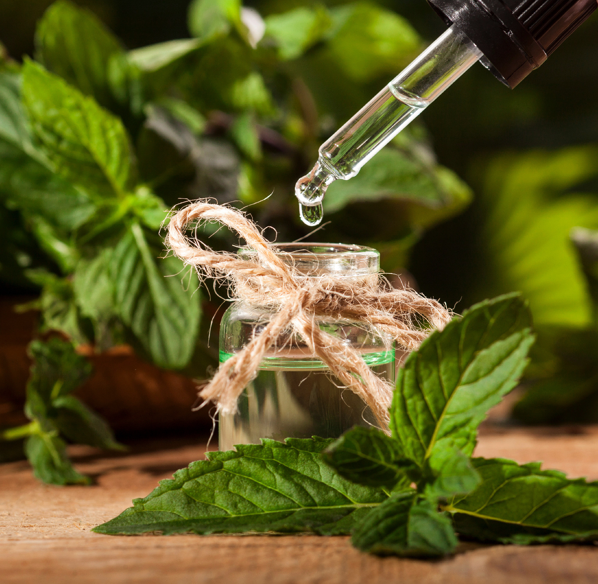 Mint Essential Oil