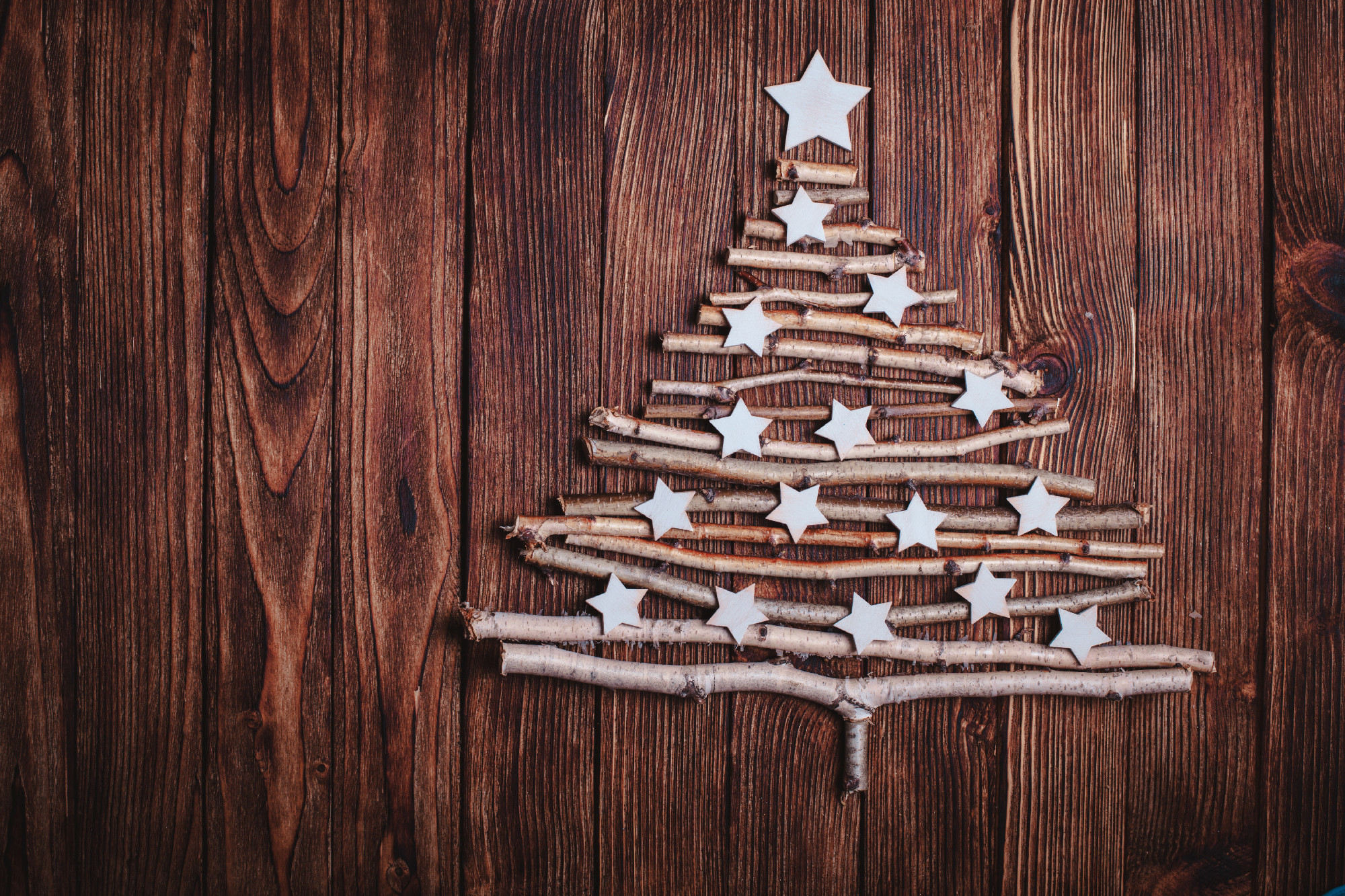Eco Cristmas tree