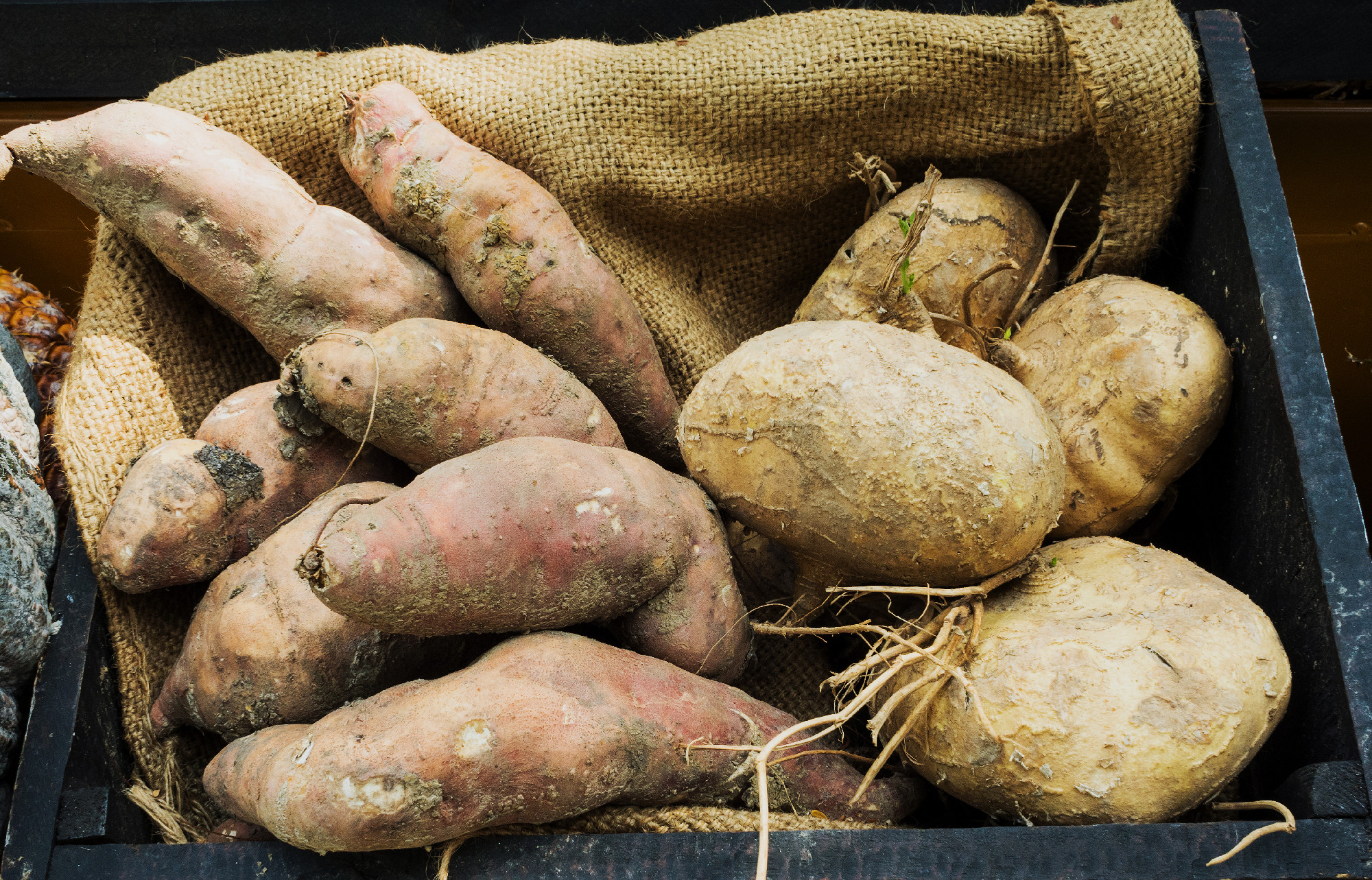 Yams and yam bean