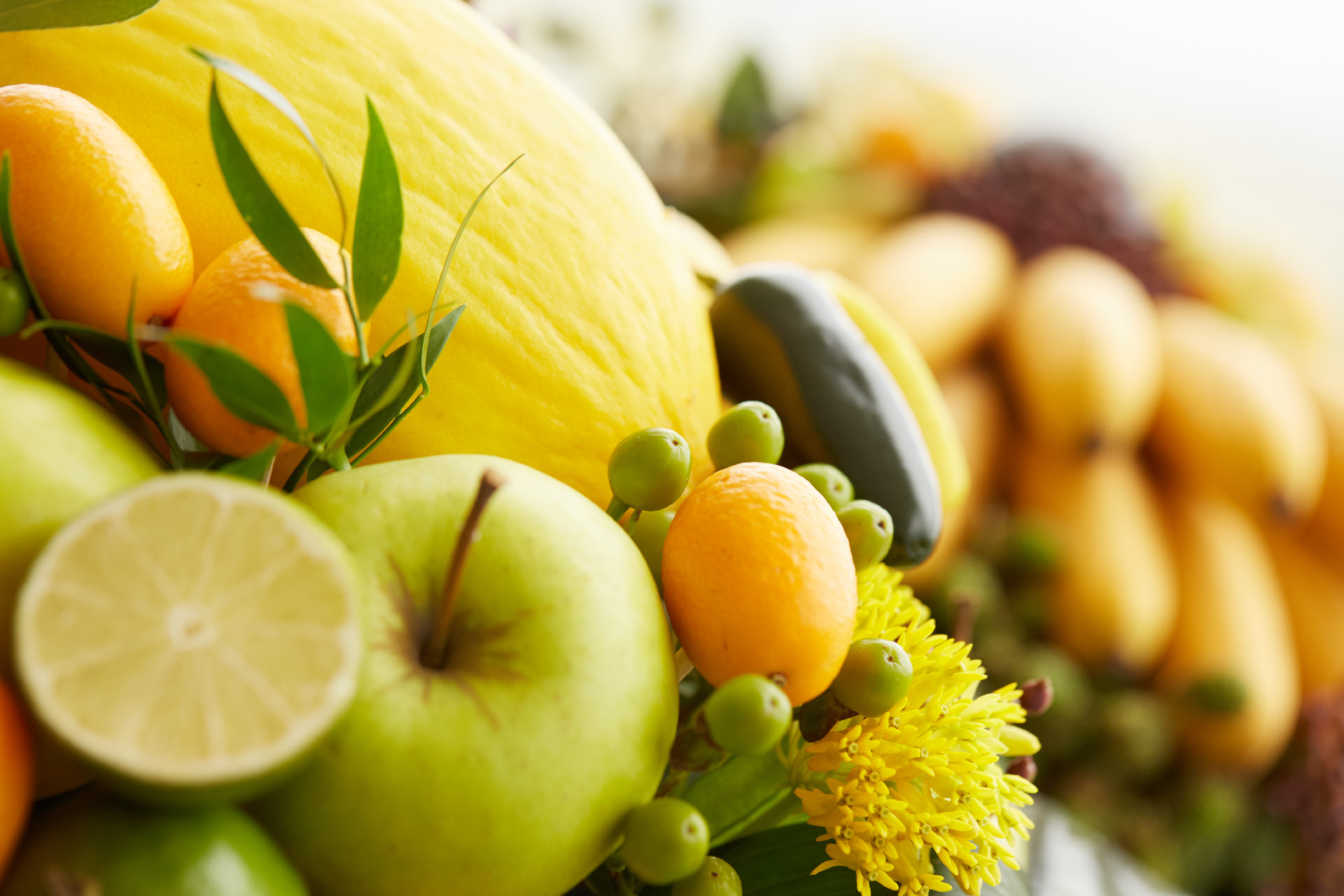 a lot of different fruits