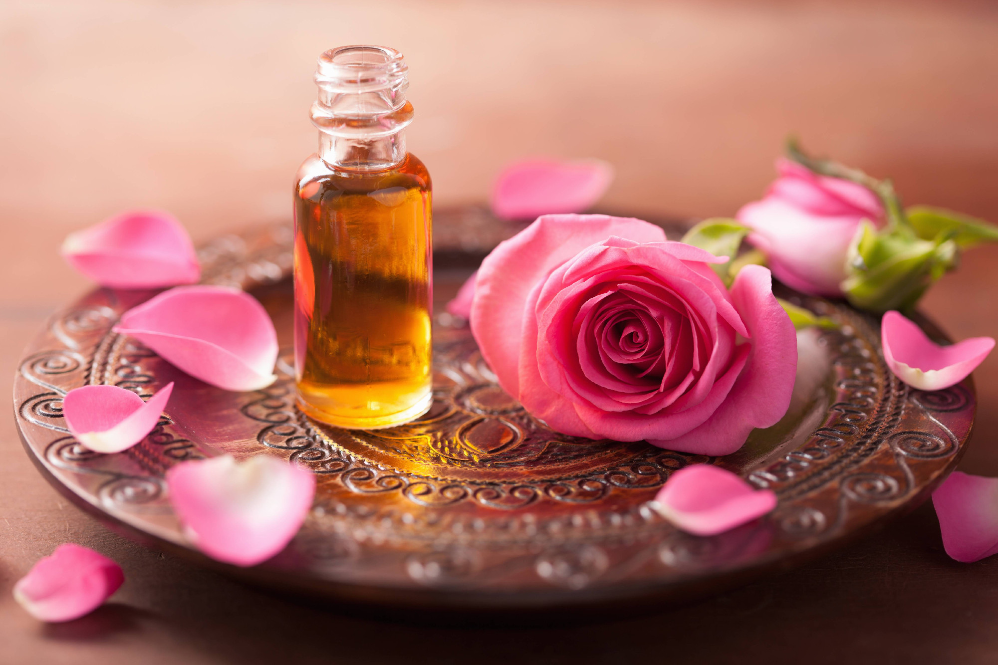 rose flower and essential oil. spa and aromatherapy