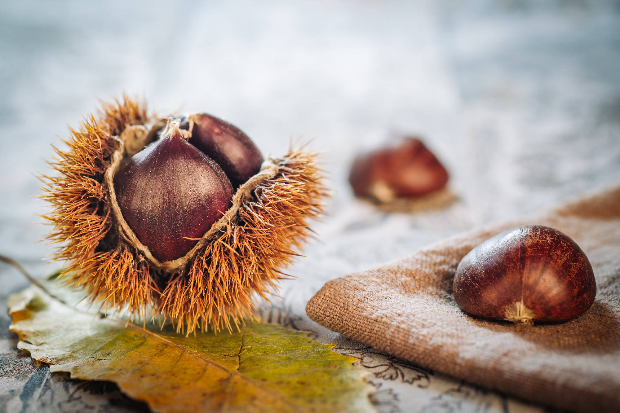 Fresh raw chestnuts