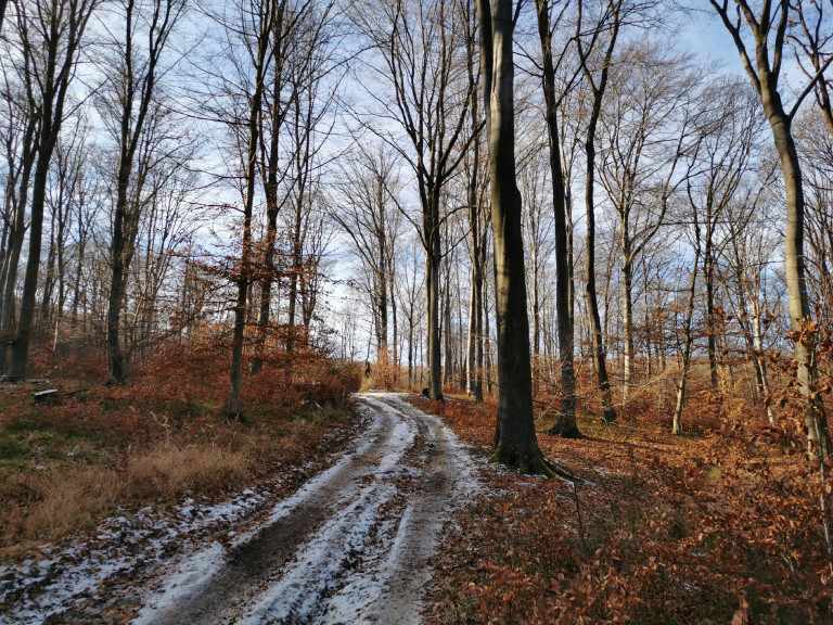 Kirándulóhelyek távol a város zajától – télen is látványosak