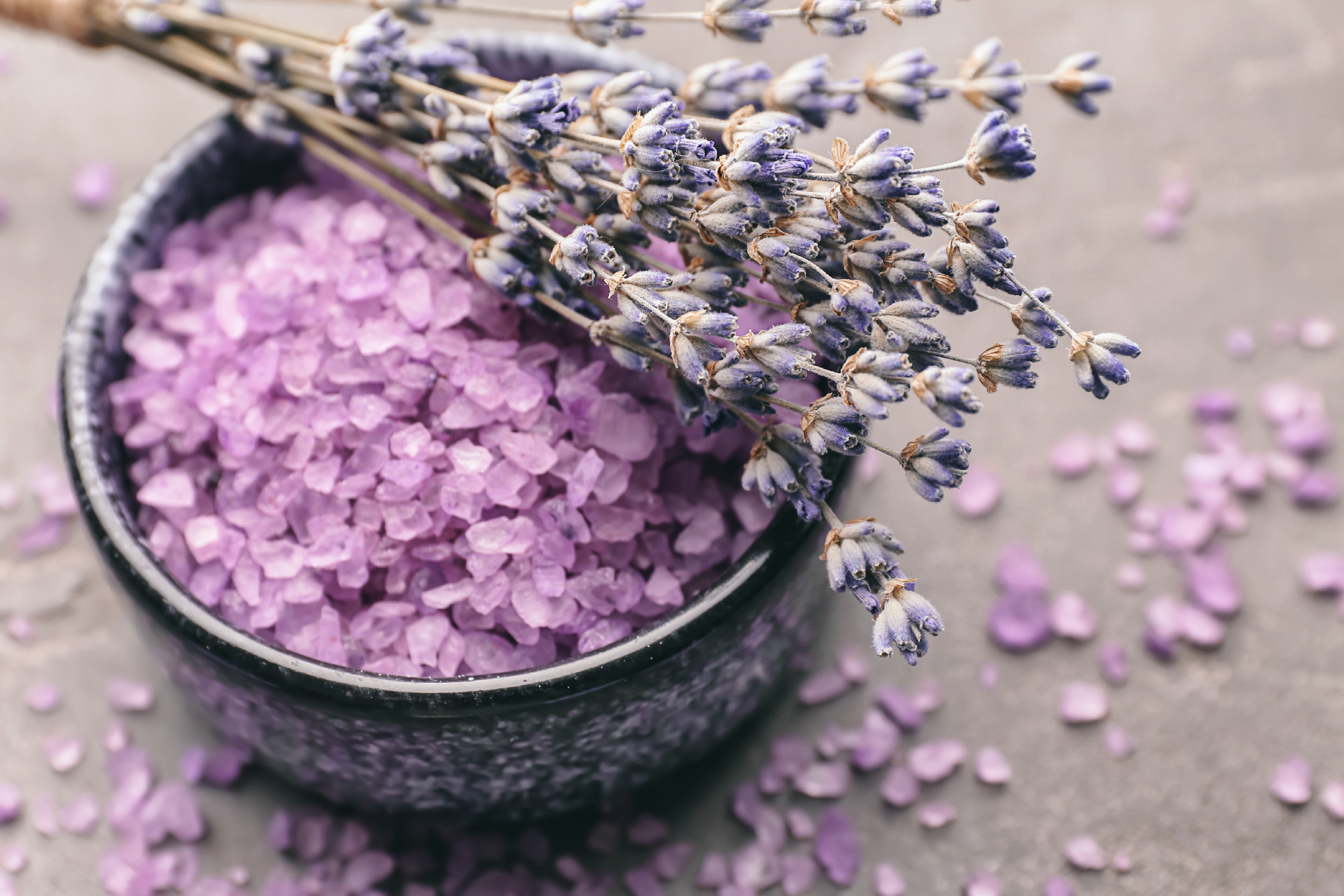 Bowl with sea salt for spa and lavender on grey table
