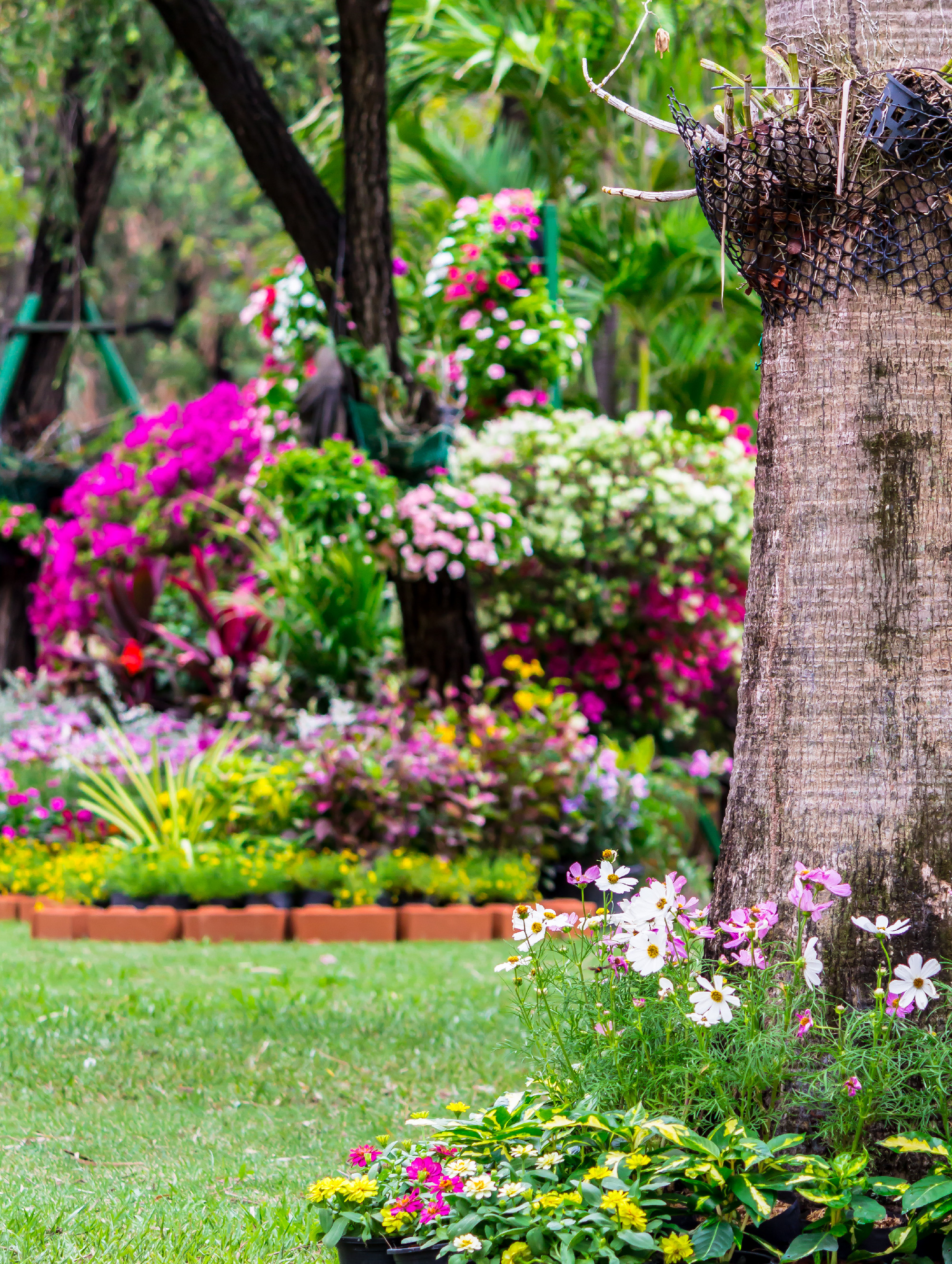 Cozy home garden on summer.
