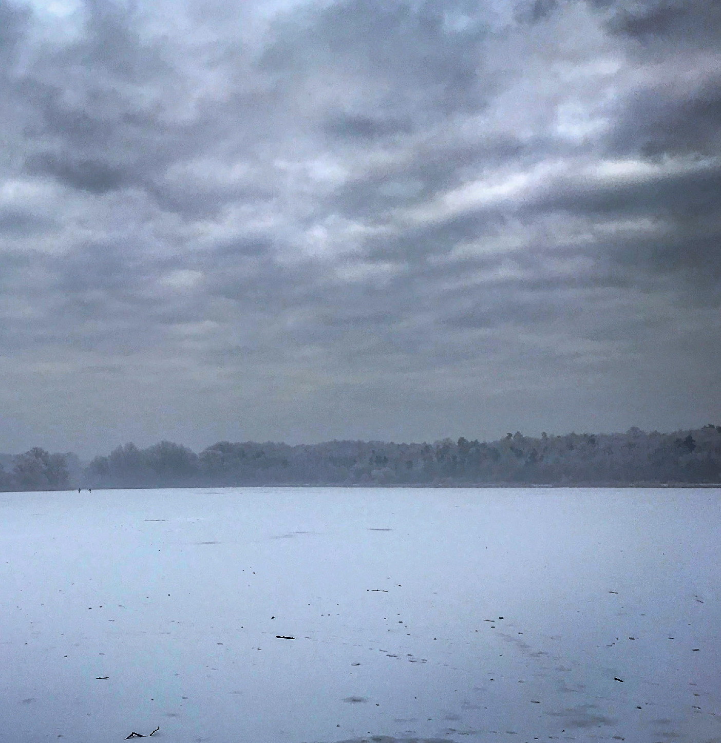 Vízimadarak és a fővárosiak oázisa 