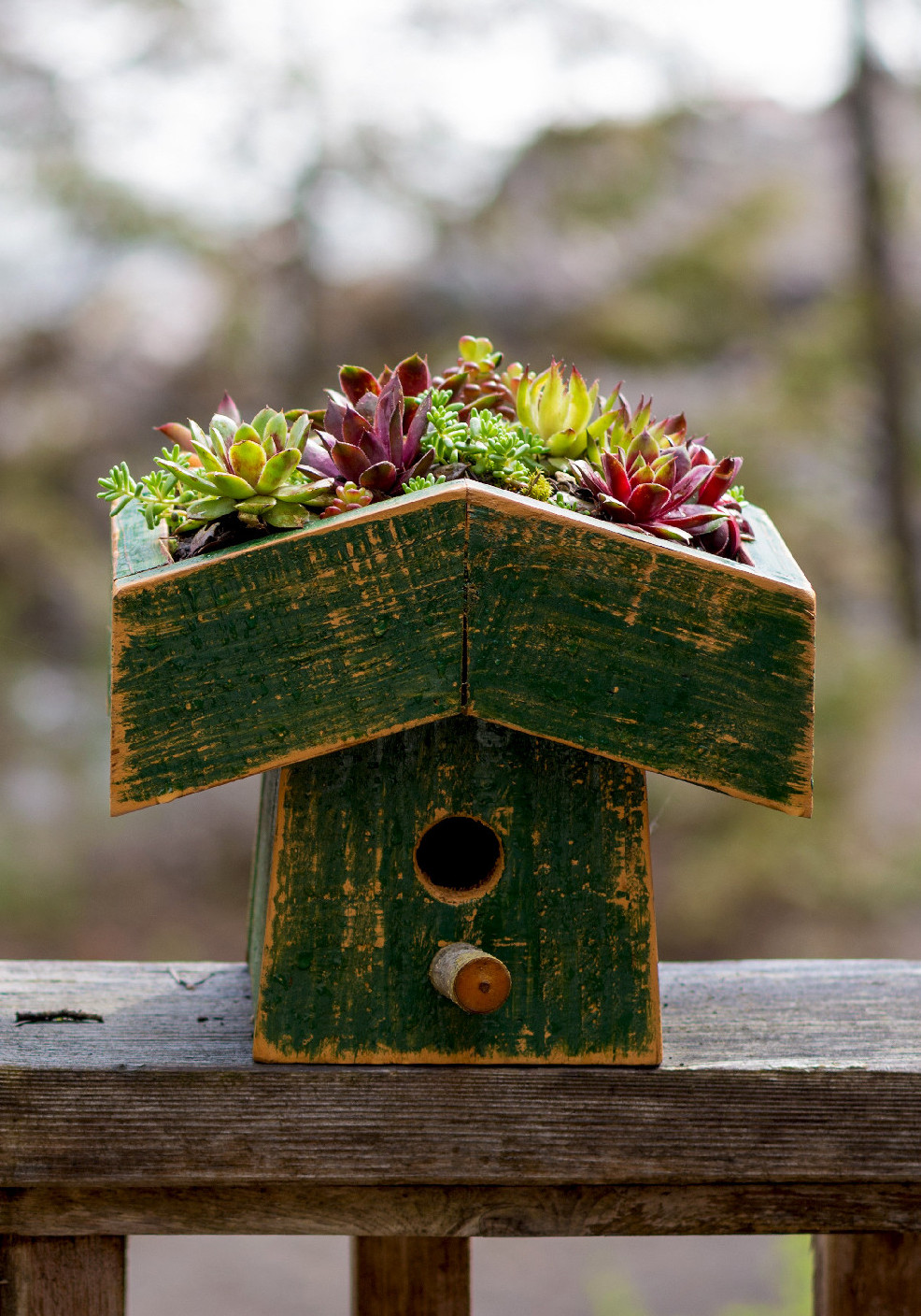 Mindent a madárodúkról - telepítési tanácsokkal