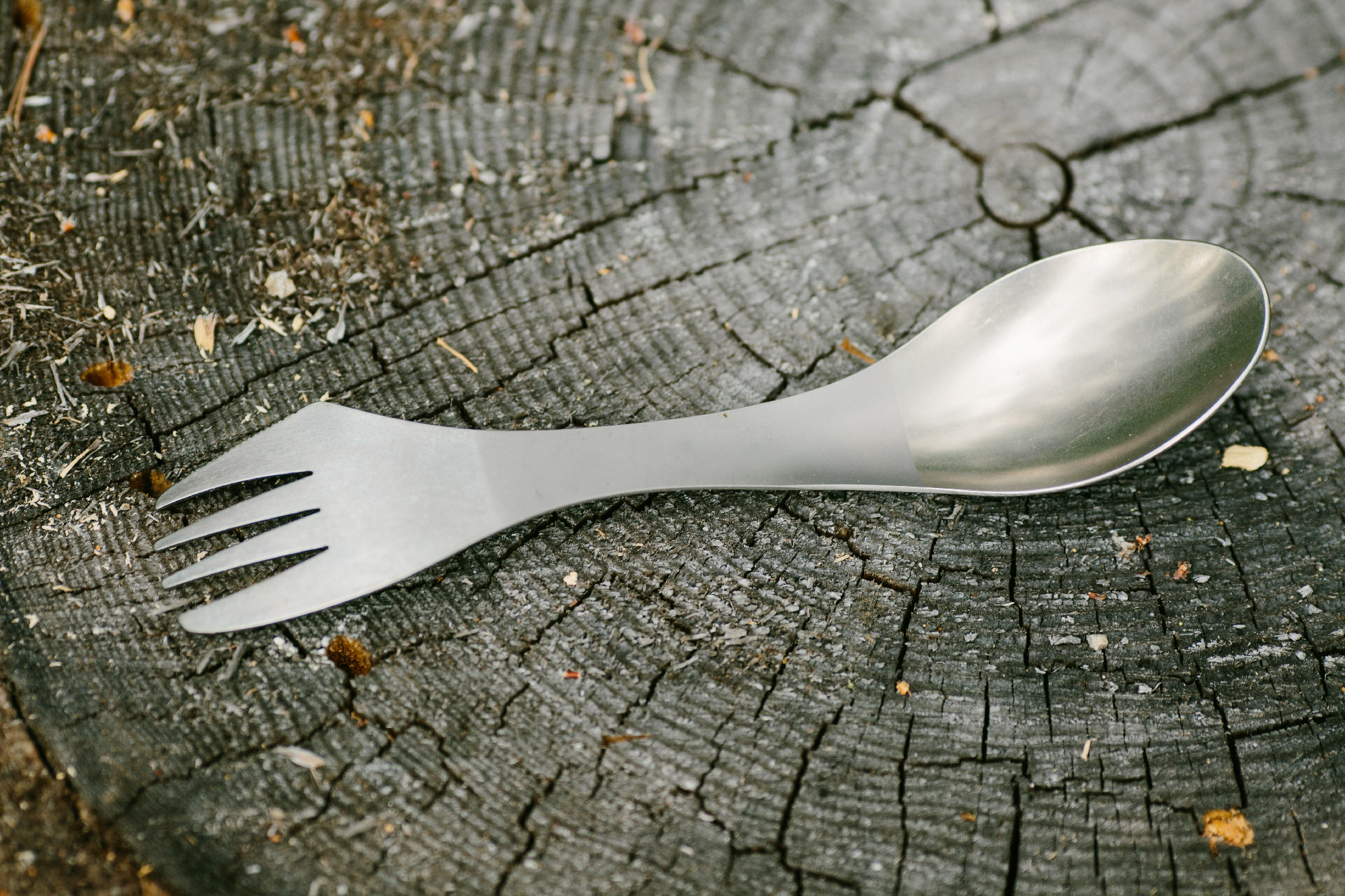 spork lying on a wooden stump in the forest