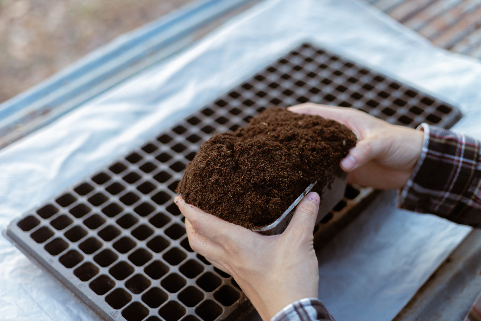 Gardening concept two hand of a gardener inserting rich black so