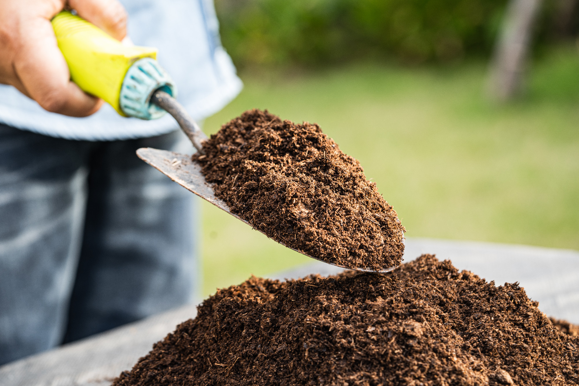 Gardener woman holding peat moss organic matter improve soil for