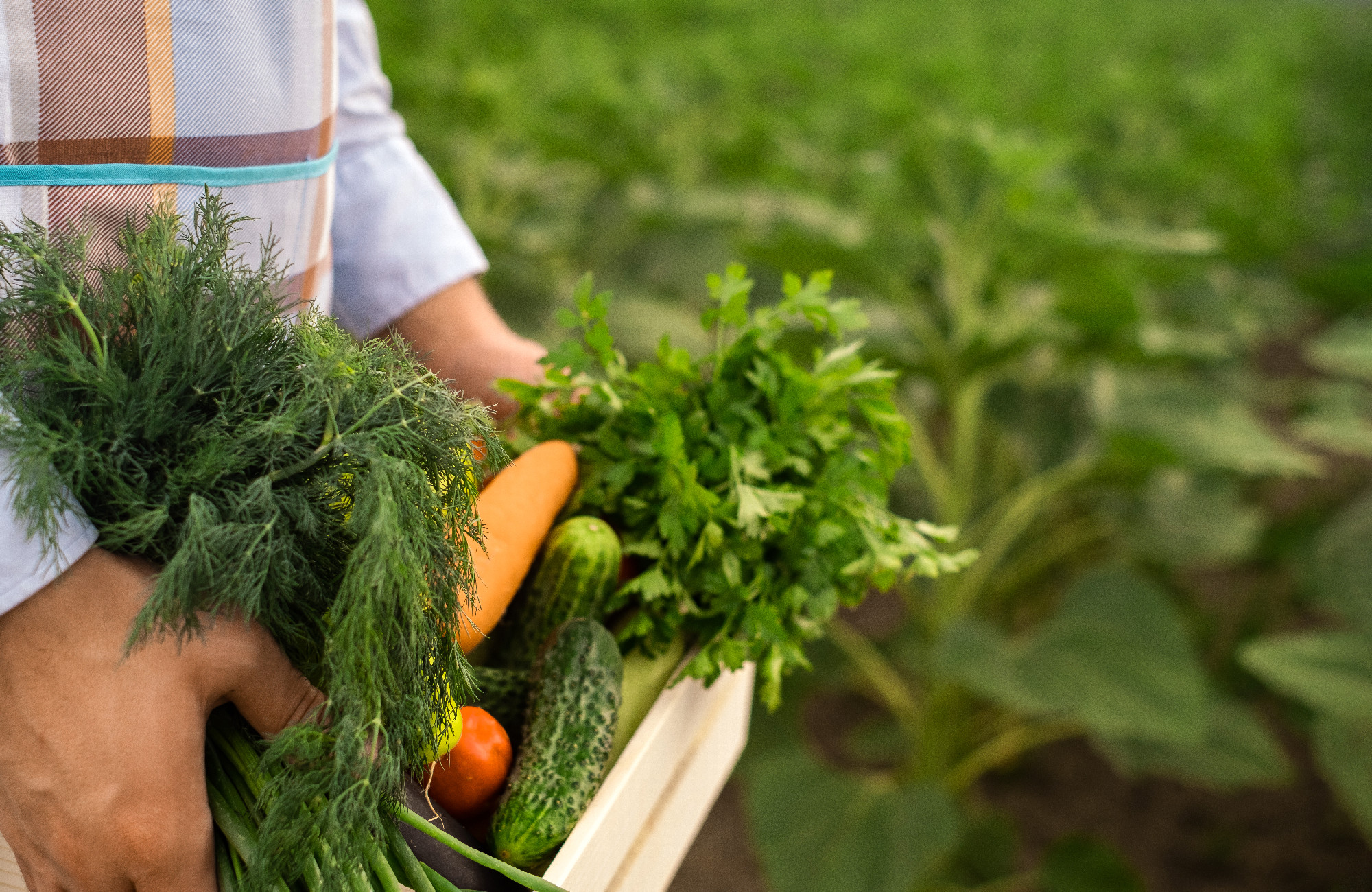young man holding a box of vegetables