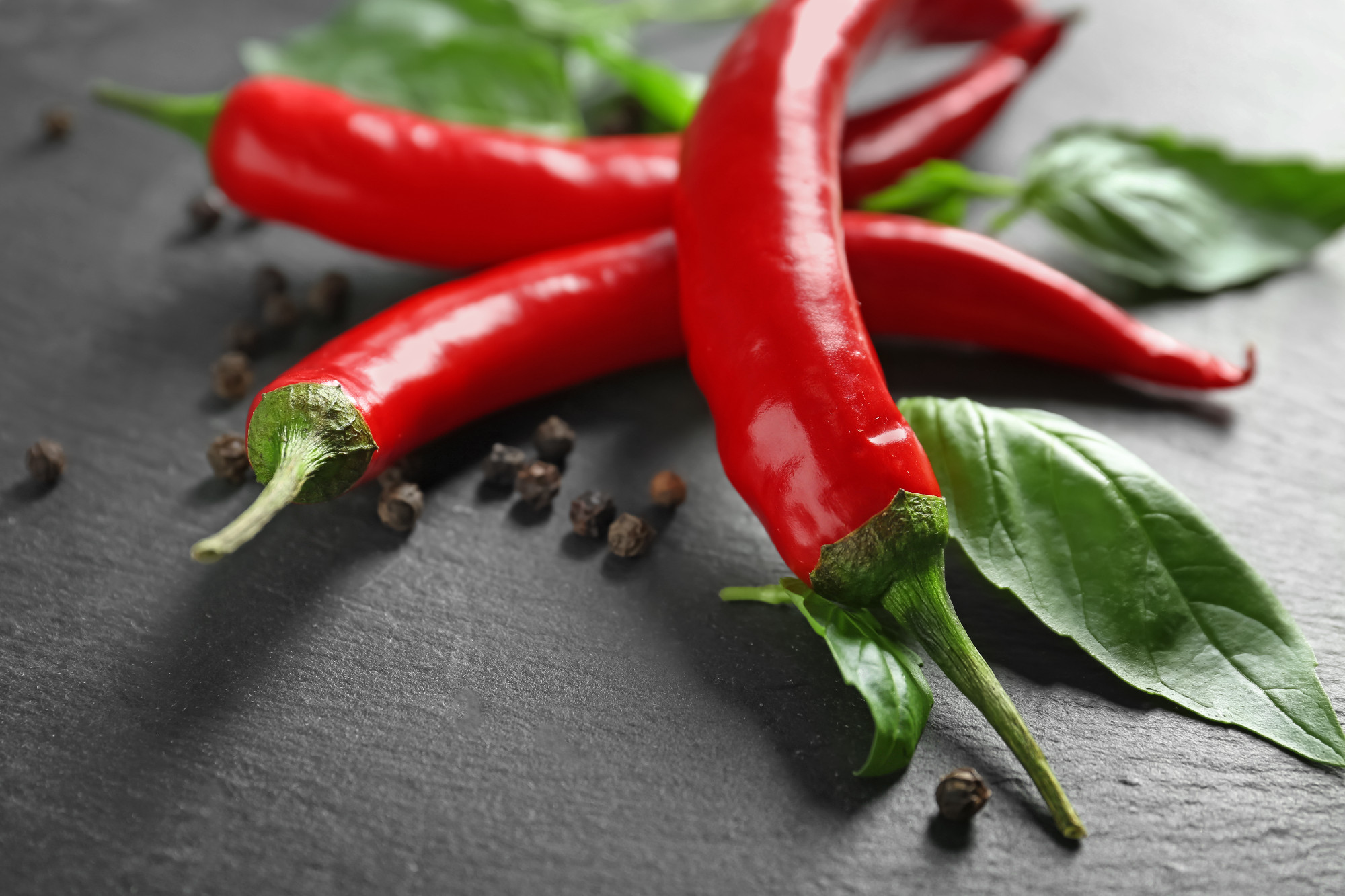 Fresh chili peppers on dark background, closeup�